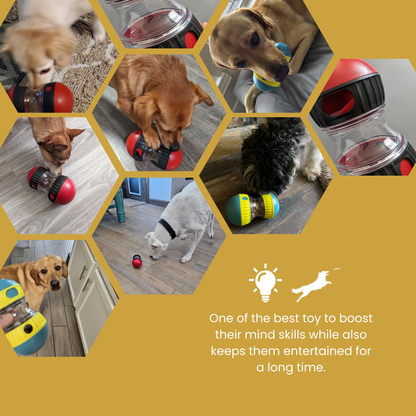 SnackSphere Roll - The Ultimate Dog Toy Feeder To Boost Their Mind & Activity Level