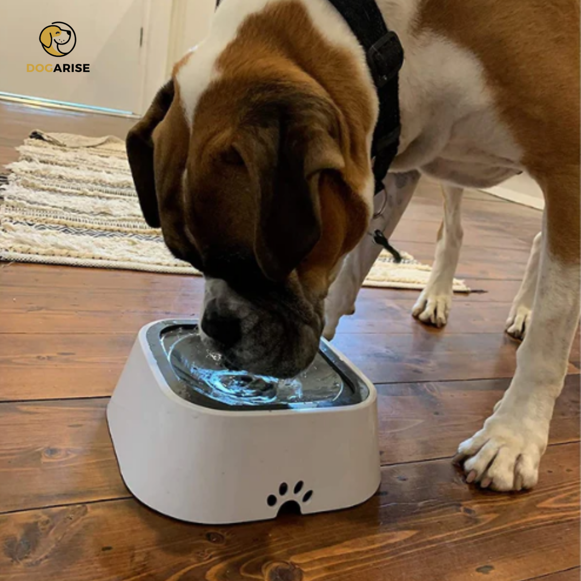 SplashStopper™ The Ultimate Anti Spill Mess-Free Dog Water Bowl - Dogarise