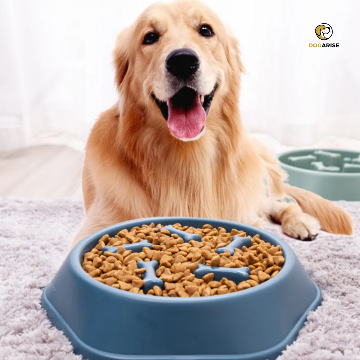 FeedFlow™ - Ensuring Controlled and Deliberate Canine Feeding - Dogarise