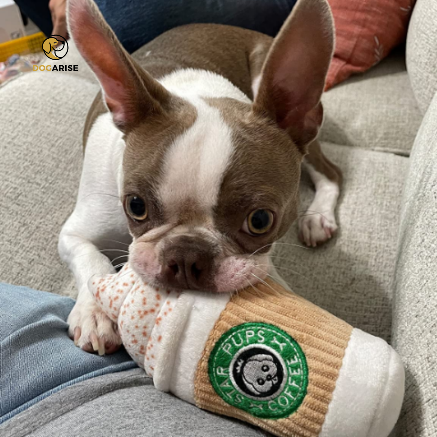 Puppuccino Plush: The Ultimate Latte-Inspired Squeaky Plush Toy for Dogs