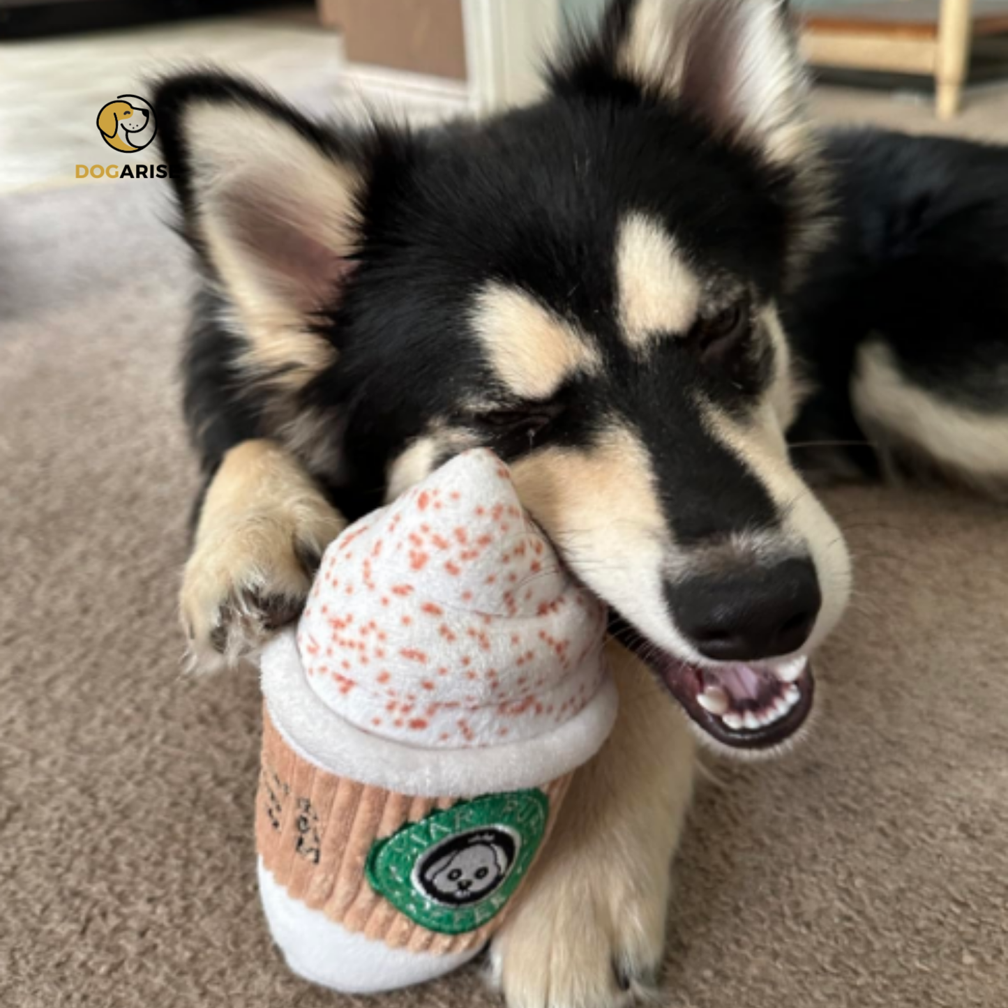 Puppuccino Plush: The Ultimate Latte-Inspired Squeaky Plush Toy for Dogs