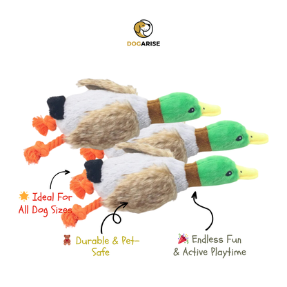 Ducky Quacky Plush: Squeaky Corduroy Duck with Rope Legs