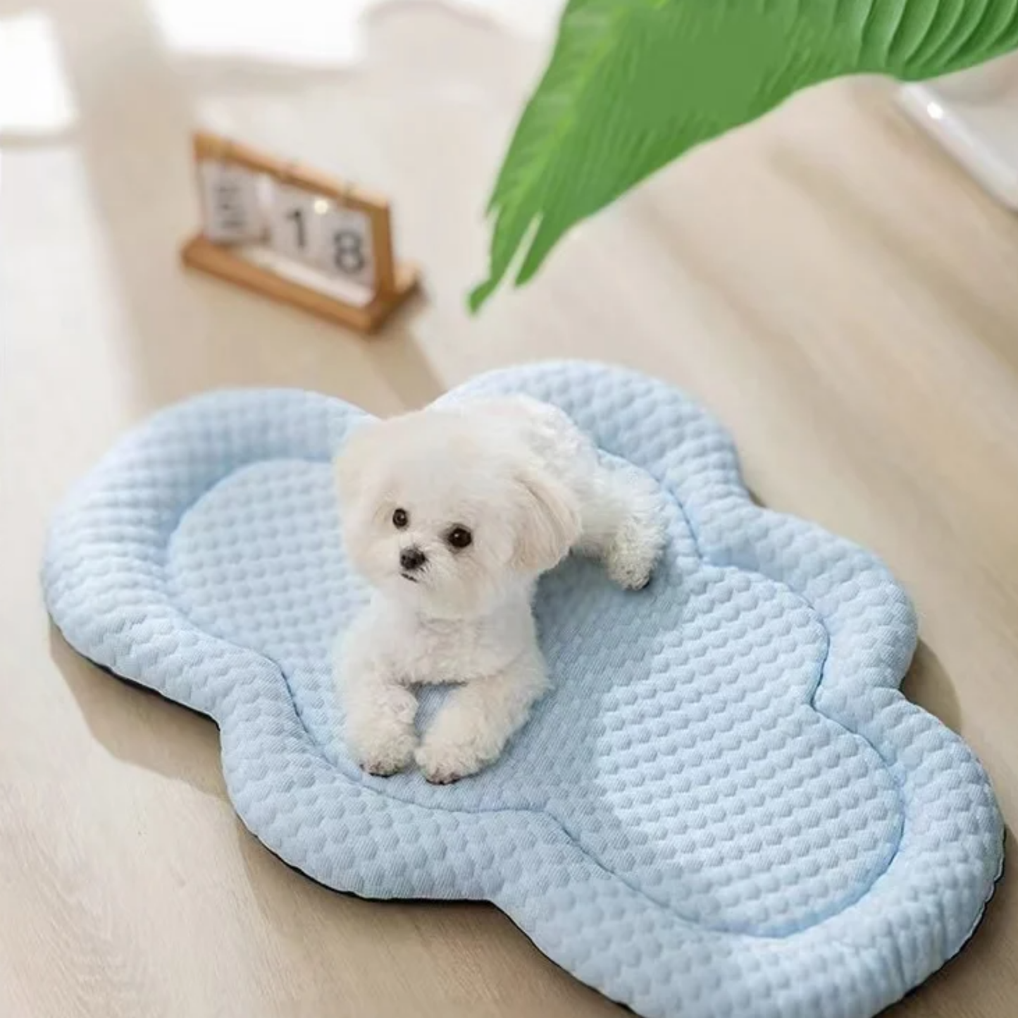 ArctiCloud: Cool Comfort for Your Dog In The Shape of Cloud