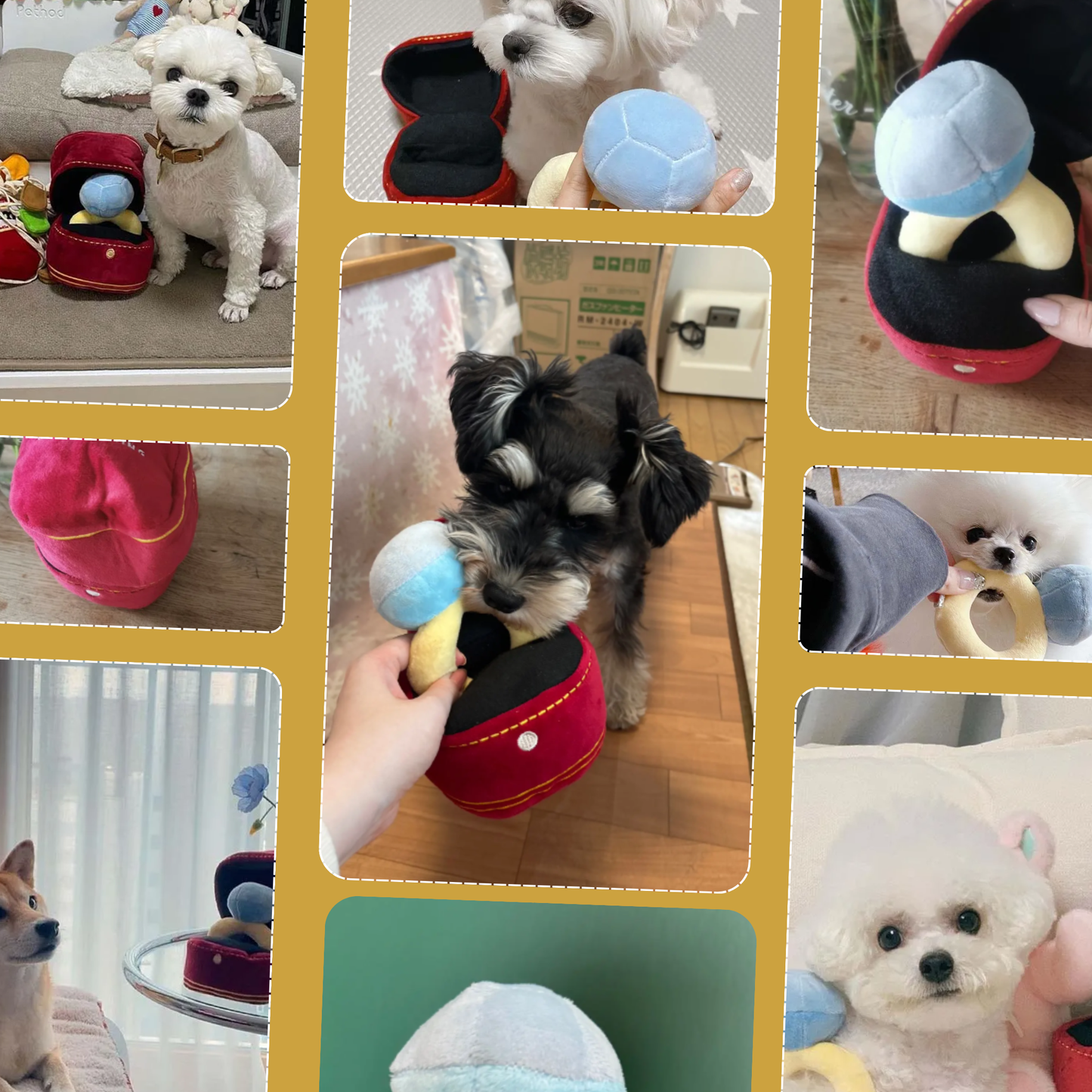 Pupposal Plush: Squeaky Diamond Ring Box Toy