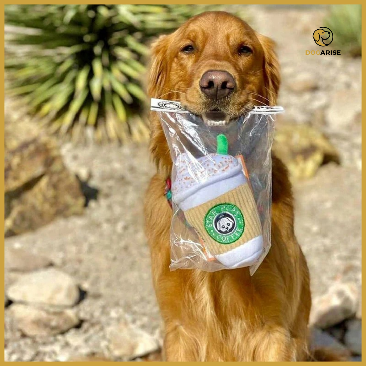 Puppuccino Plush: The Ultimate Latte-Inspired Squeaky Plush Toy for Dogs