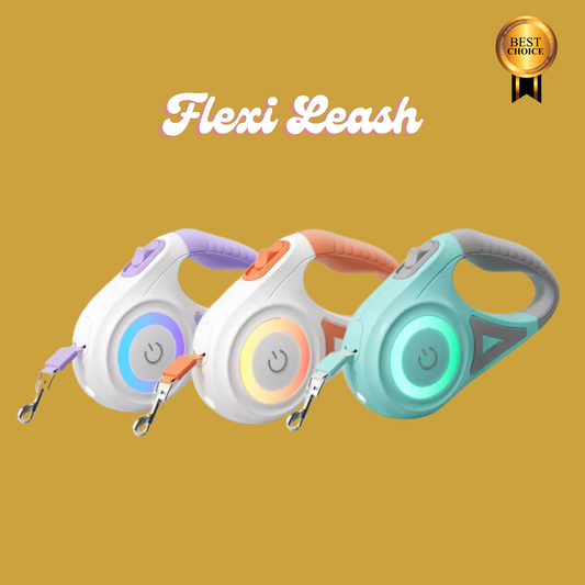 Flexi Leash: Control, Comfort, Convenience