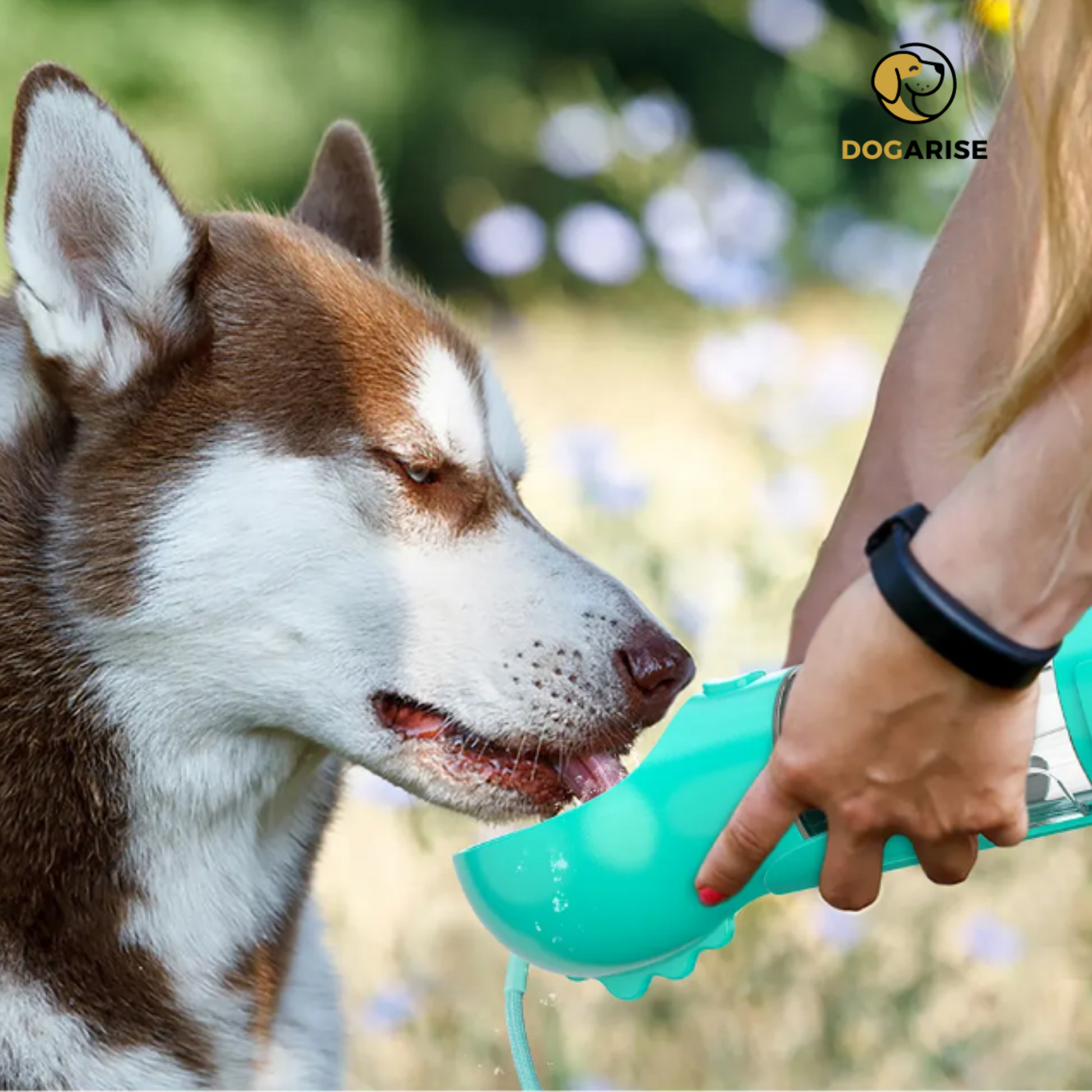 HydraPup™ - The Ultimate 3-in-1 Portable Dog Water Bottle - Dogarise