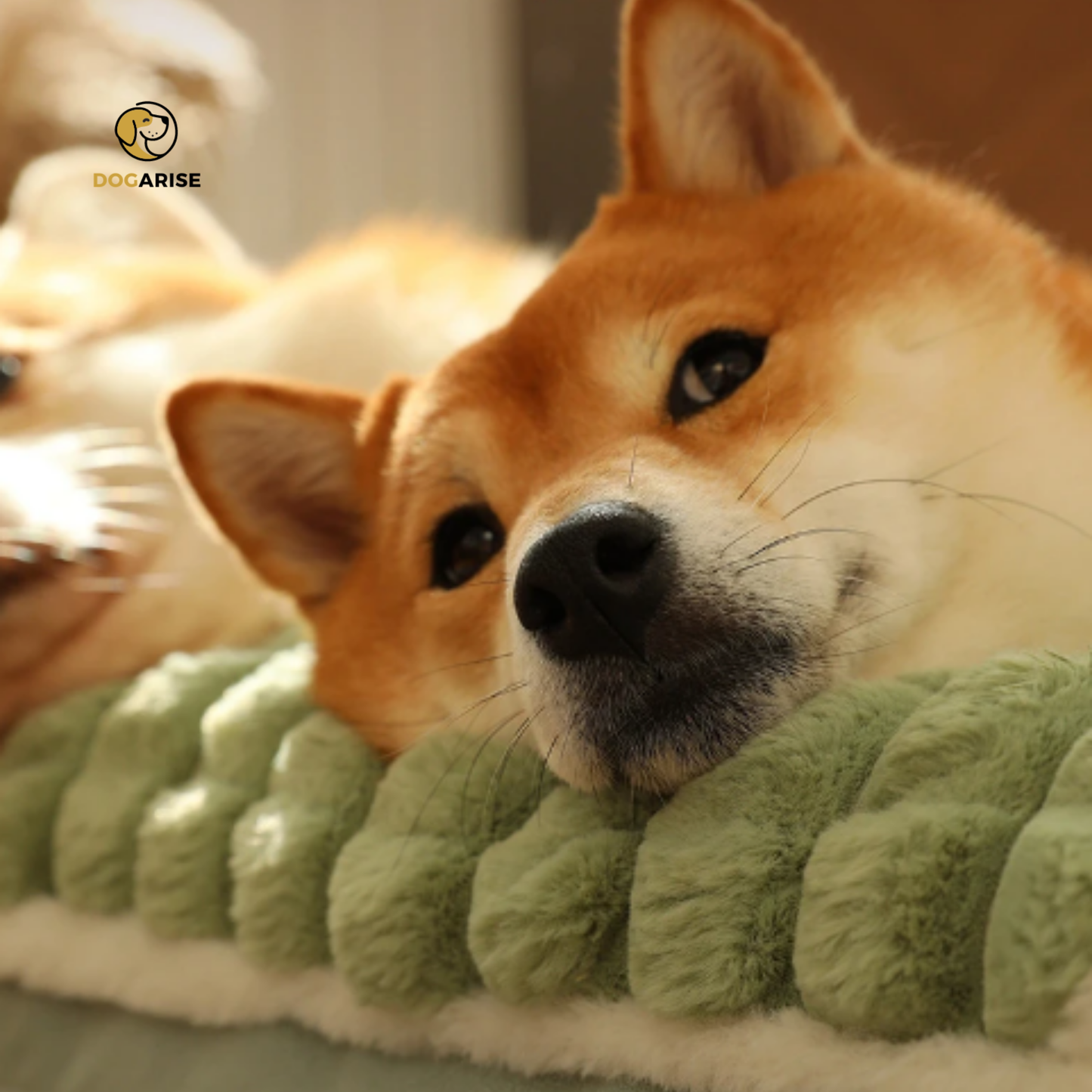 PawPal: Plush Comfort Bed with Headrest