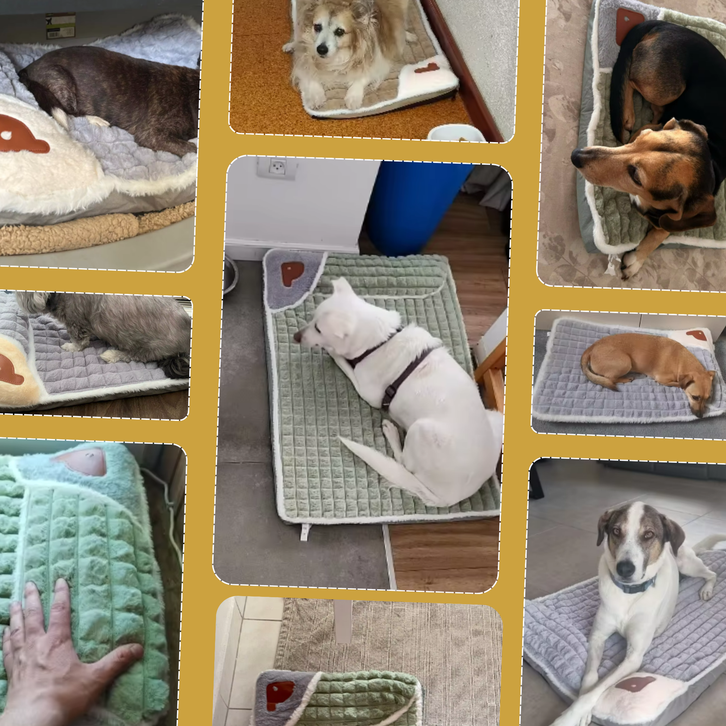 PawPal: Plush Comfort Bed with Headrest