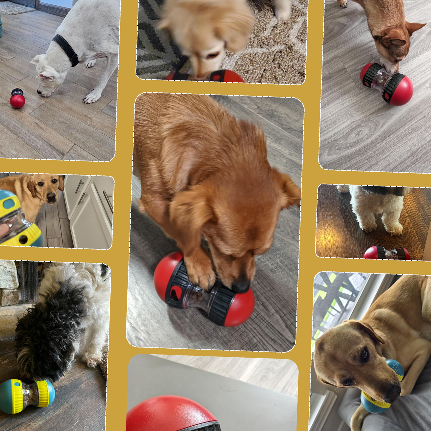 SnackSphere Roll - The Ultimate Dog Toy Feeder To Boost Their Mind & Activity Level