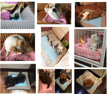 CoolRest: Premium Cooling Bed for Dogs