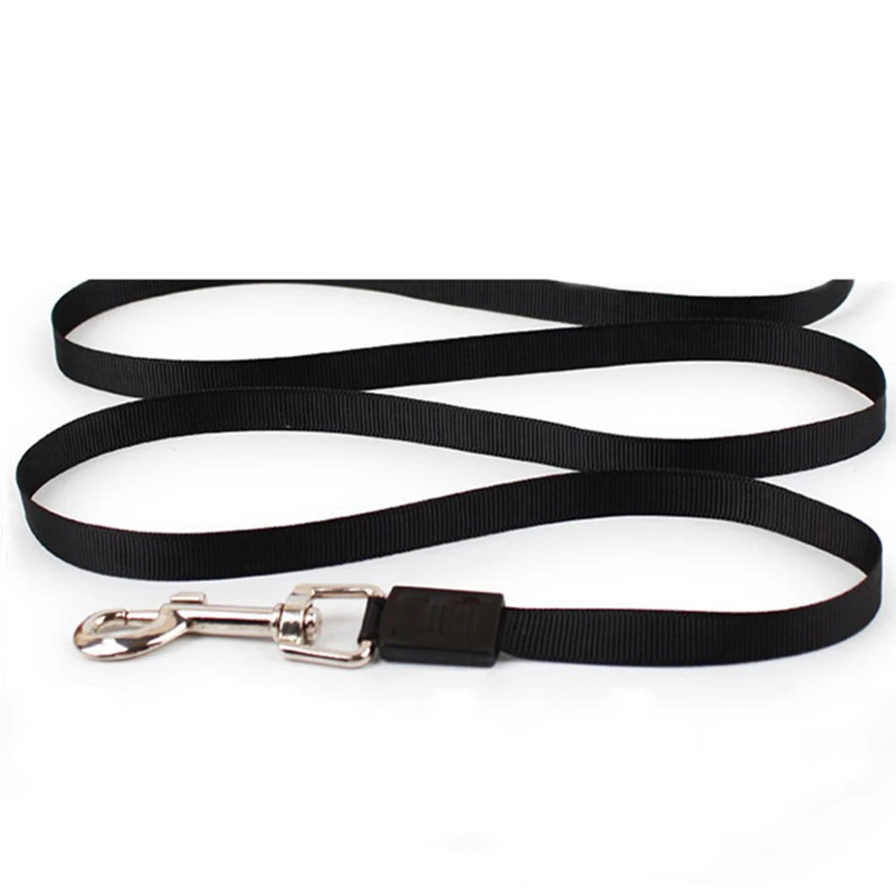 Glide Leash: Effortless Control, Ultimate Dog Walking Experience